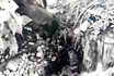 doberman hound dog toby pond stream frog hunt