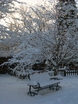 lake zurich il illinois winter garden bench
